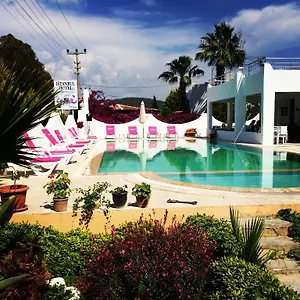 Cohiba Otel
